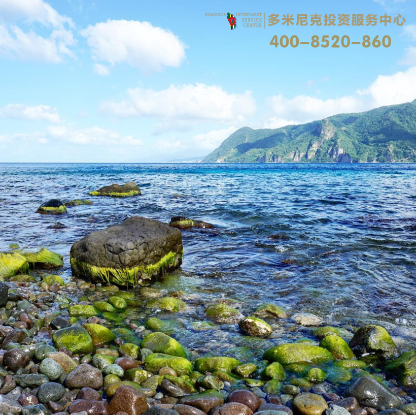 多米尼克旅行日志,除了移民之外给你6个理由重新认识它 多米尼克旅行日志,除了移民之外给你6个理由重新认识它