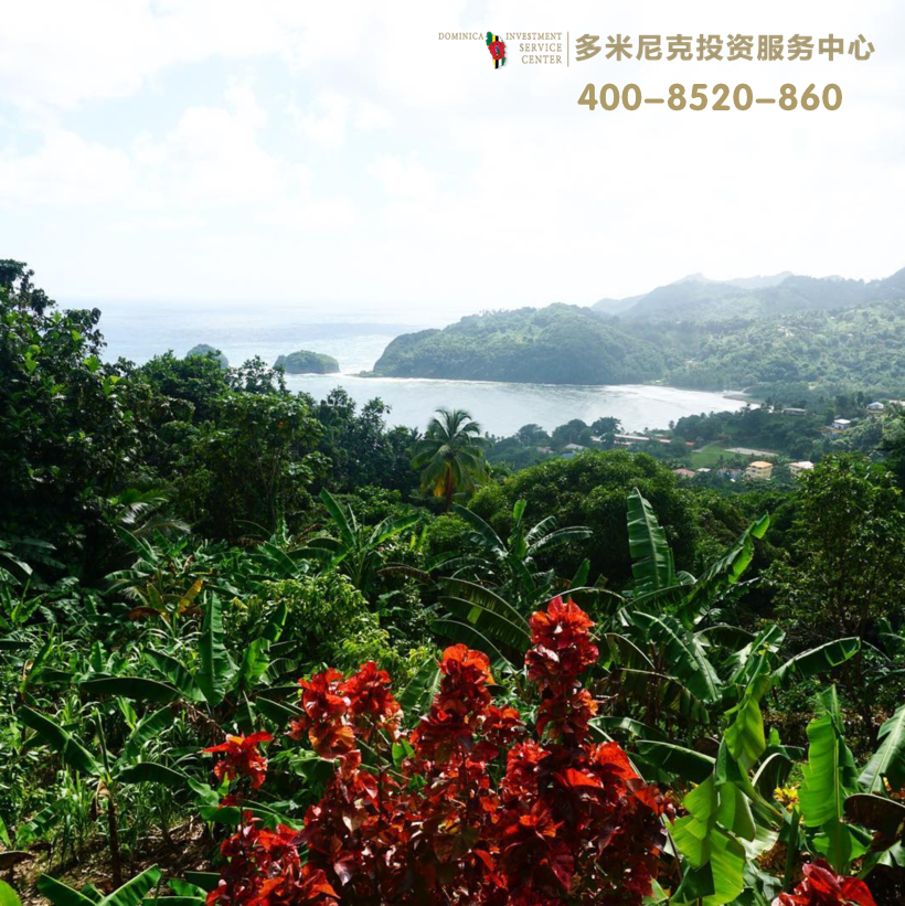 多米尼克旅行日志,除了移民之外给你6个理由重新认识它 多米尼克旅行日志,除了移民之外给你6个理由重新认识它
