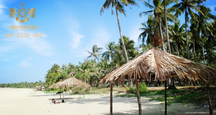 多米尼克丨用大自然“治愈”城市人 多米尼克丨用大自然“治愈”城市人