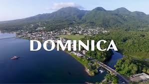 多米尼克投资移民是如何进行尽职调查的? 多米尼克投资移民是如何进行尽职调查的?