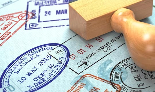 一文详解,为什么投资多米尼克? 一文详解,为什么投资多米尼克?