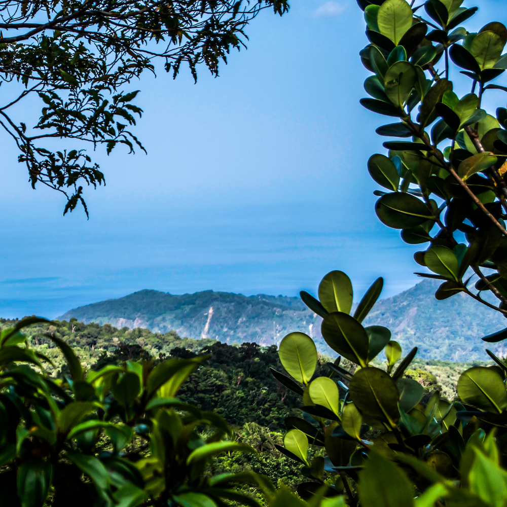 多米尼克仍在努力成为世界上第一个具有气候适应能力的国家